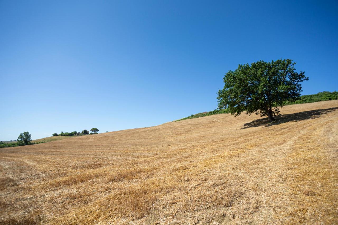 Castelnuovo della Misericordia Agriturismo Cappellese מראה חיצוני תמונה