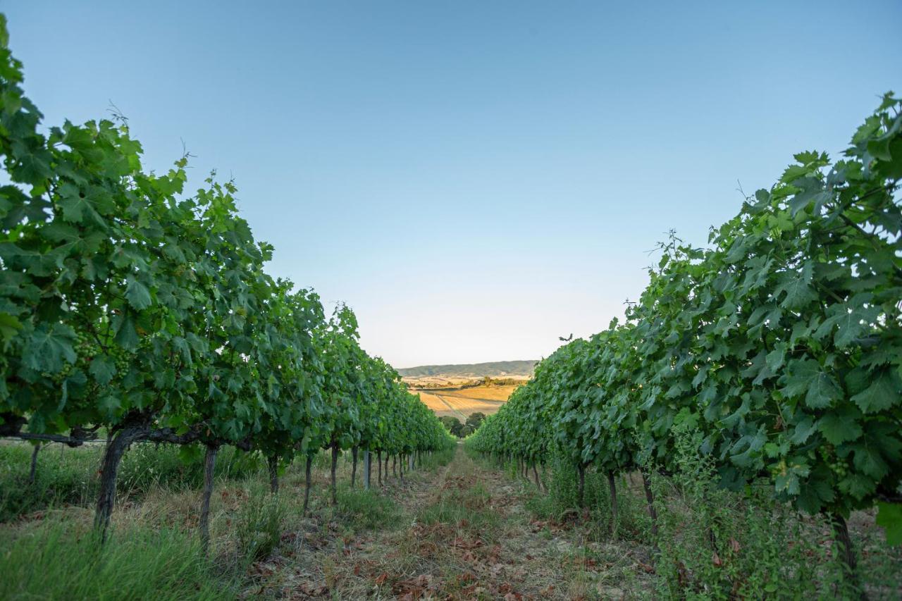 Castelnuovo della Misericordia Agriturismo Cappellese מראה חיצוני תמונה