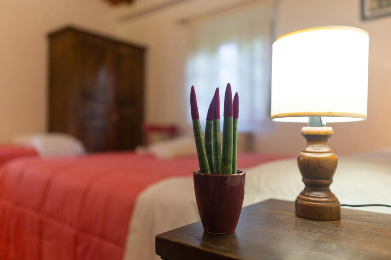 Castelnuovo della Misericordia Agriturismo Cappellese מראה חיצוני תמונה
