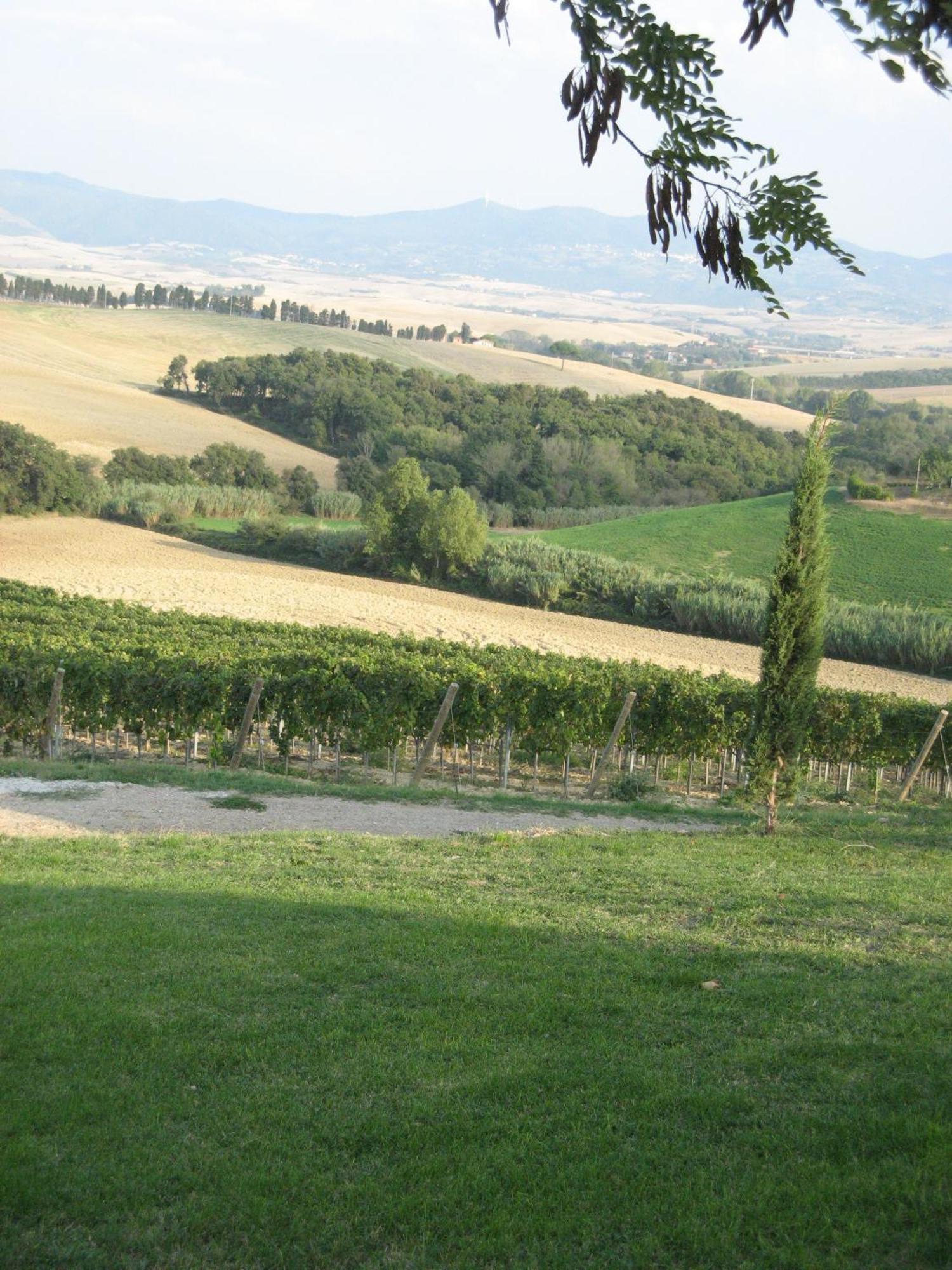 Castelnuovo della Misericordia Agriturismo Cappellese מראה חיצוני תמונה