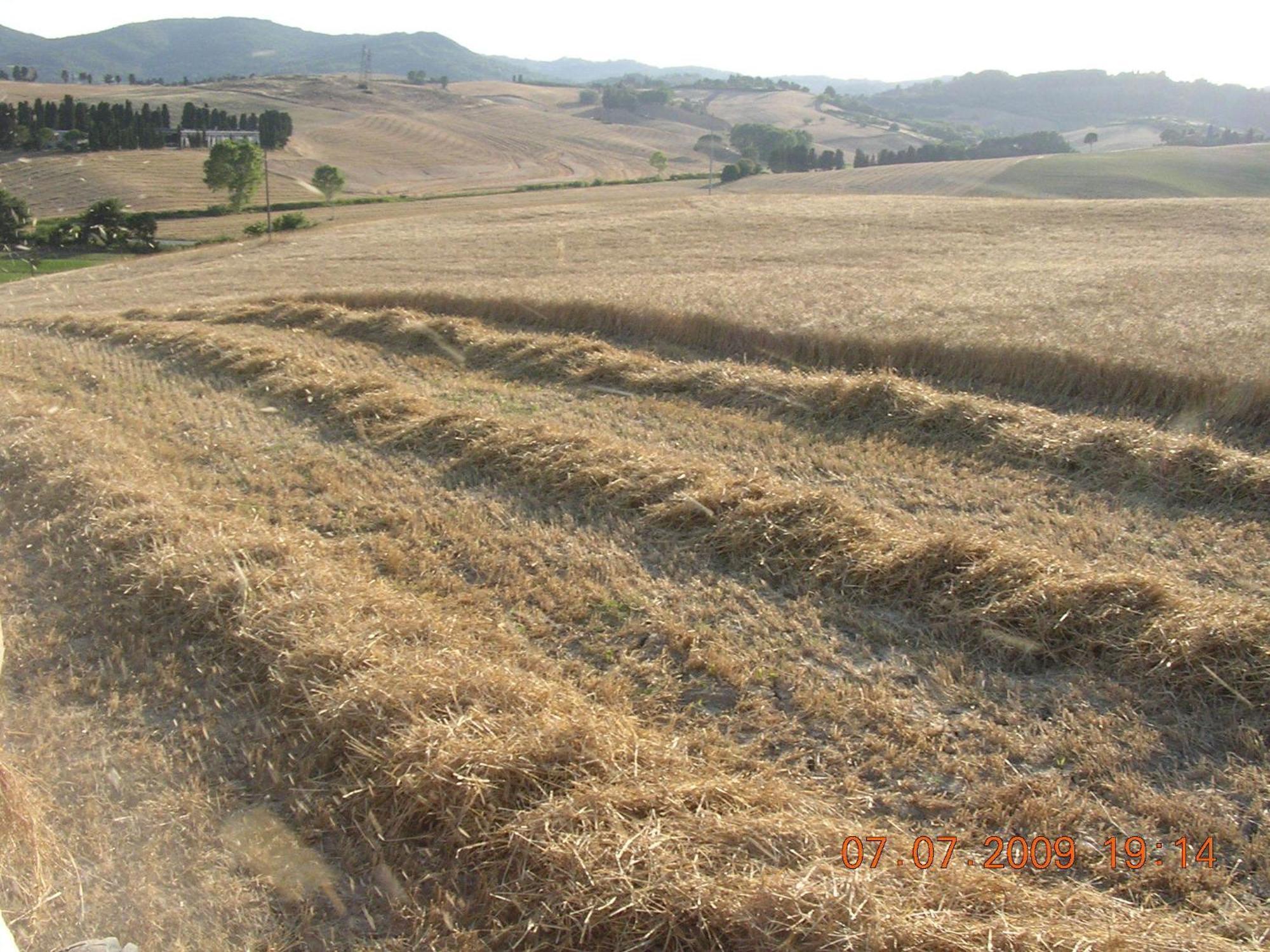 Castelnuovo della Misericordia Agriturismo Cappellese מראה חיצוני תמונה